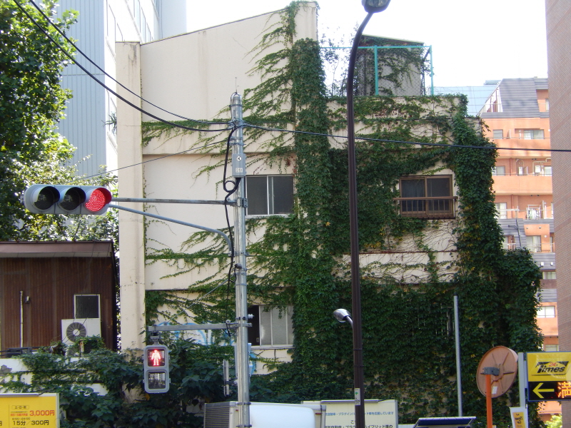 japan_2013_09_19_03.JPG