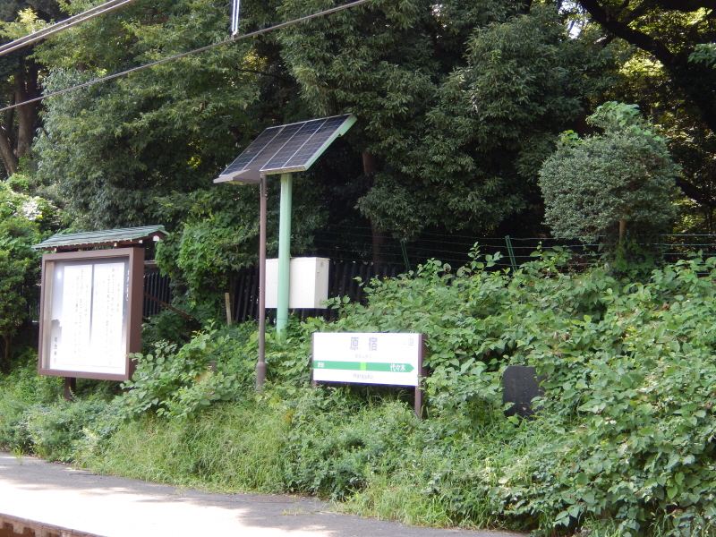 japan_2013_09_20_23.JPG