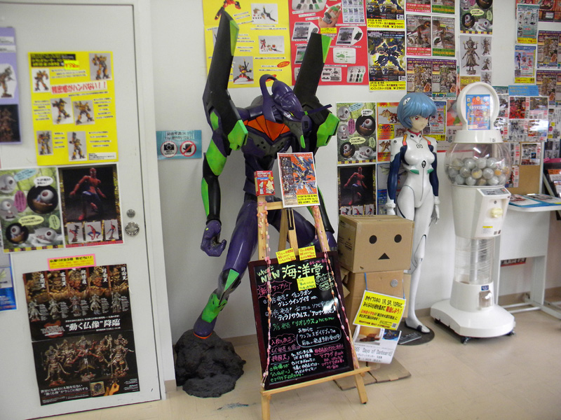japan_2012_06_05_10.jpg