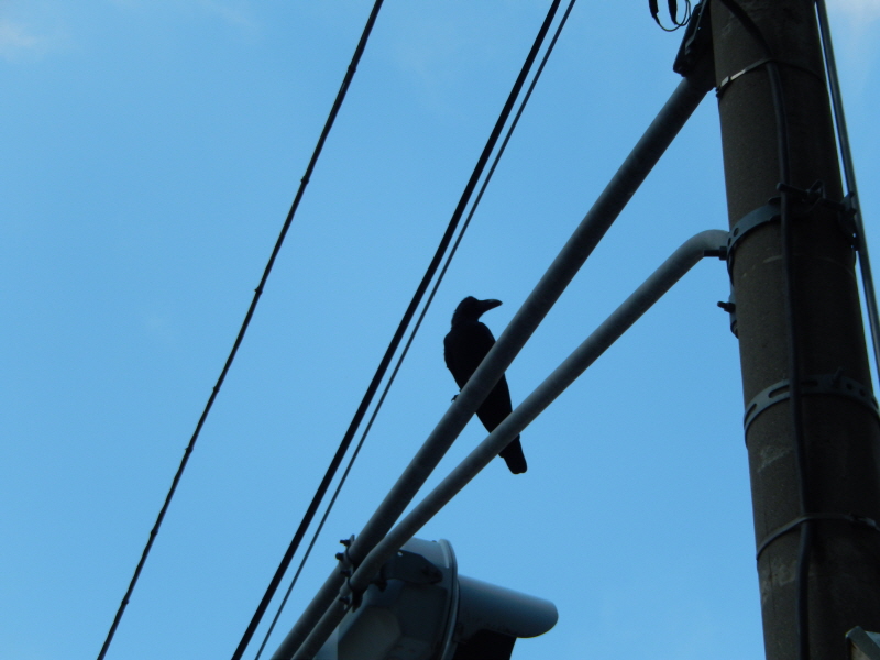 japan_2013_09_22_02.JPG