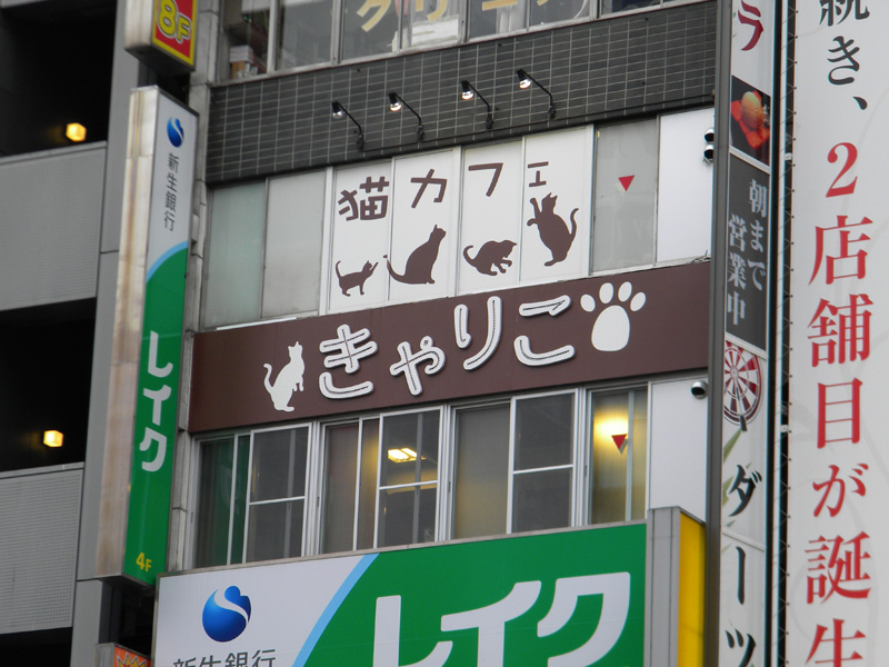 japan_2012_06_08_06.jpg