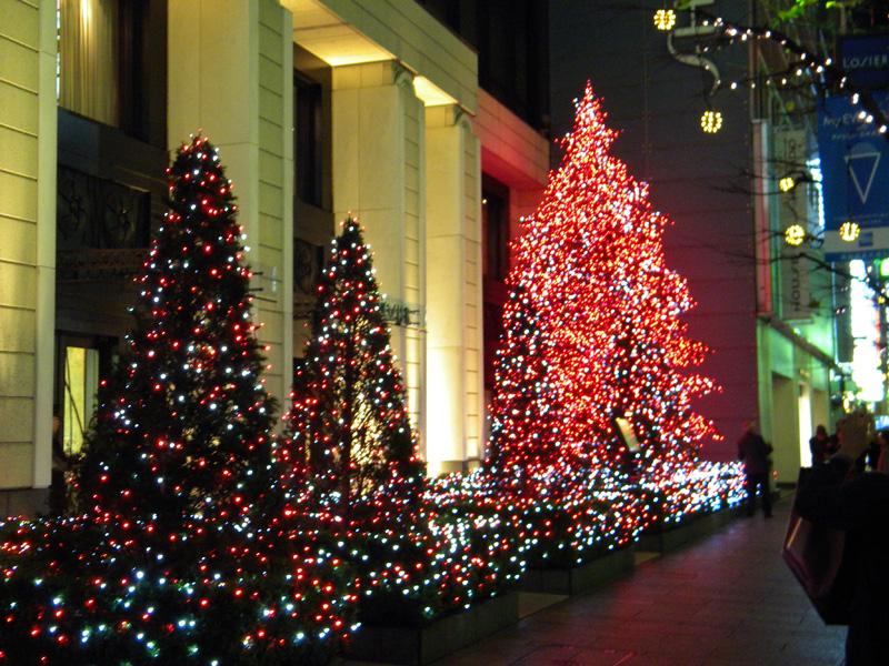 japan_2010_11_19_19.jpg