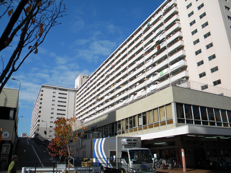 japan_2010_11_20_01.jpg