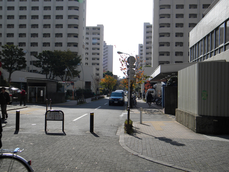 japan_2010_11_20_03.jpg