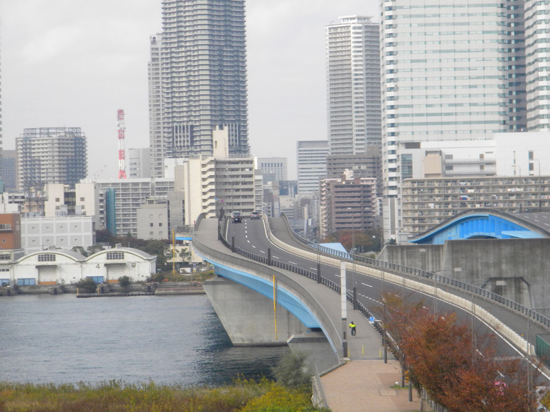 japan_2010_11_20_05.jpg