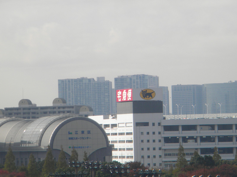 japan_2010_11_20_07.jpg