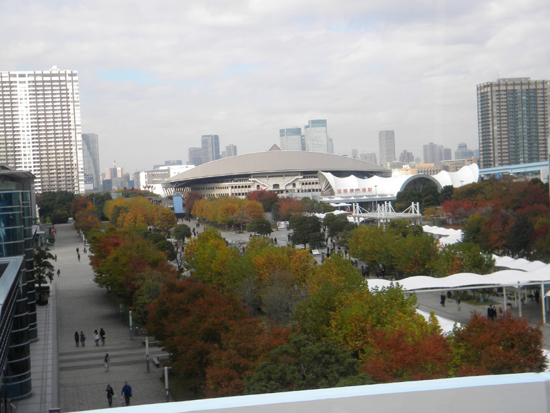 japan_2010_11_20_09.jpg