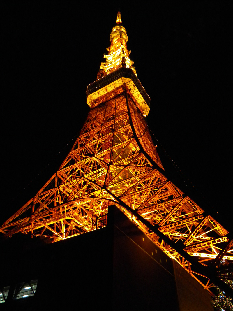 japan_2010_11_20_74.jpg
