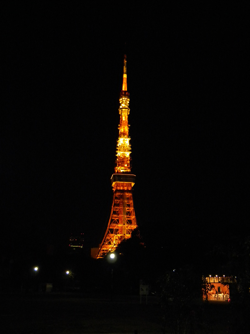 japan_2010_11_20_75.jpg