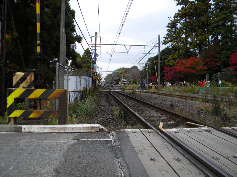 japan_2010_11_21_04.jpg