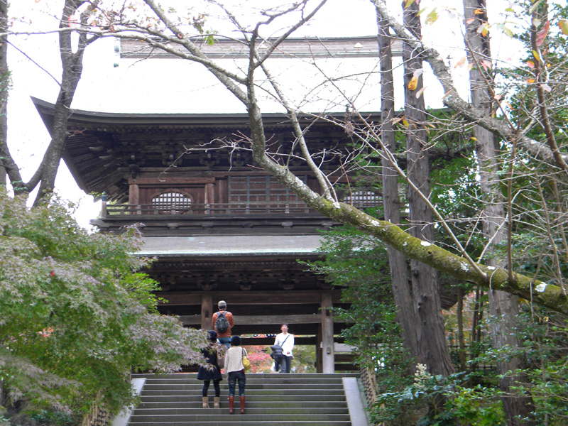 japan_2010_11_21_05.jpg