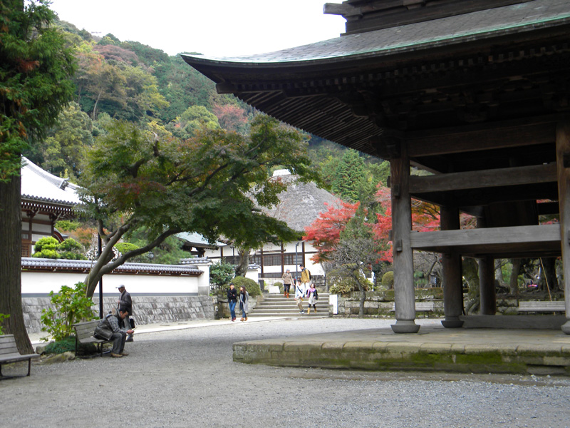 japan_2010_11_21_06.jpg