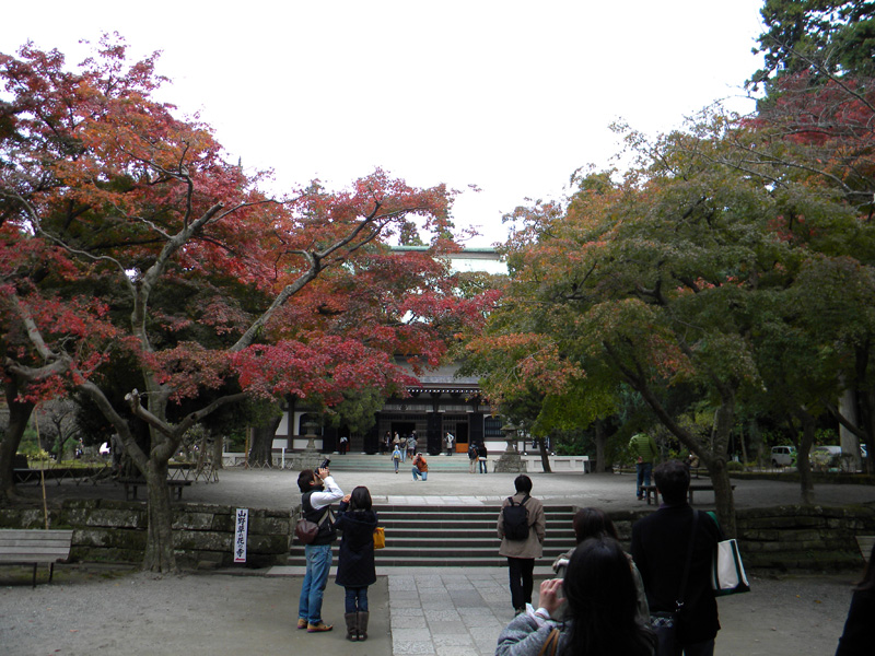 japan_2010_11_21_07.jpg