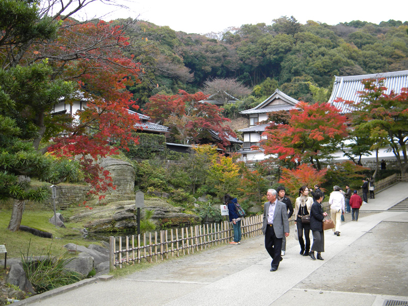 japan_2010_11_21_08.jpg