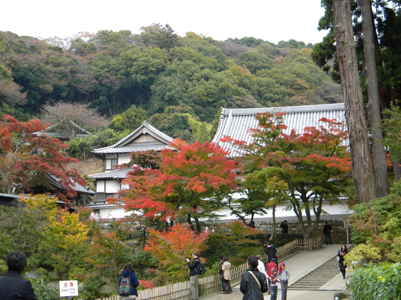 japan_2010_11_21_09.jpg