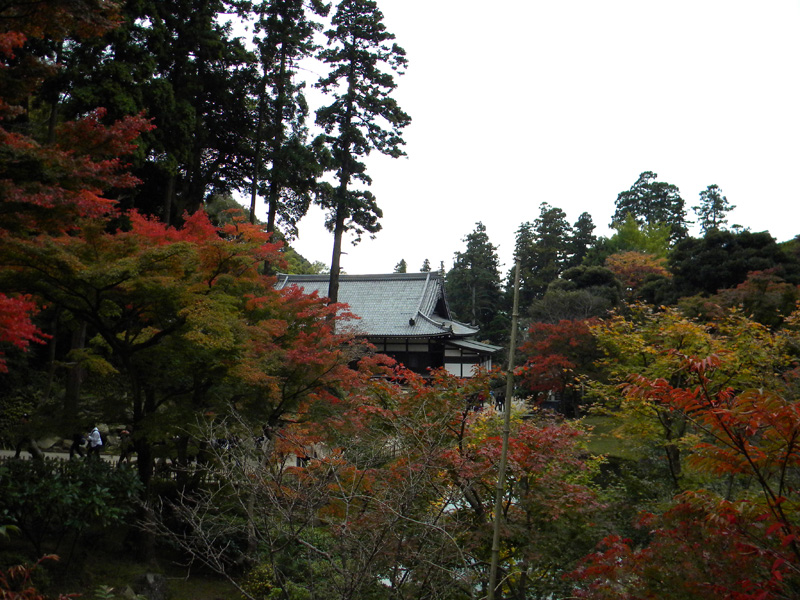 japan_2010_11_21_11.jpg