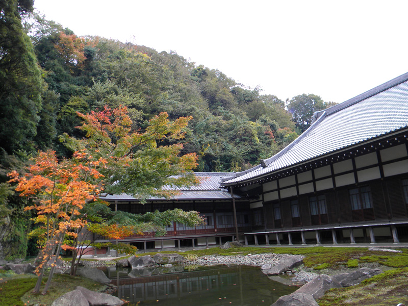 japan_2010_11_21_12.jpg