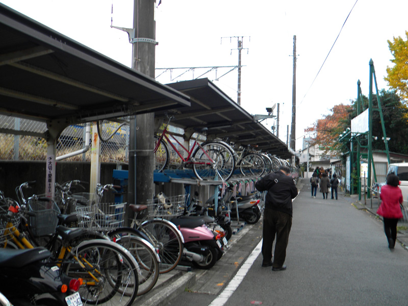 japan_2010_11_21_21.jpg