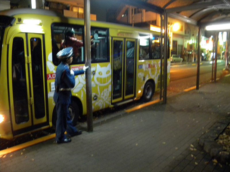 japan_2010_11_22_08.jpg